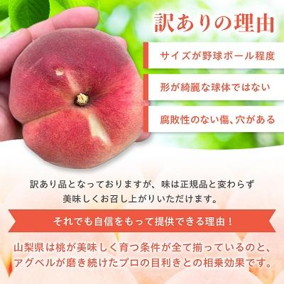 ふるさと納税 山梨市 桃5〜9玉2kg以上　2024年6月中旬より順次出荷予定