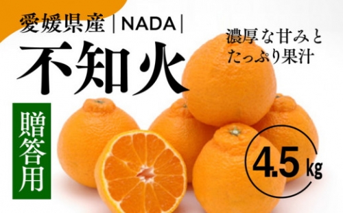 愛媛県産 不知火 贈答用 4.5kg みかん 柑橘 完熟※2024年2月下旬～3月下旬頃に順次発送予定