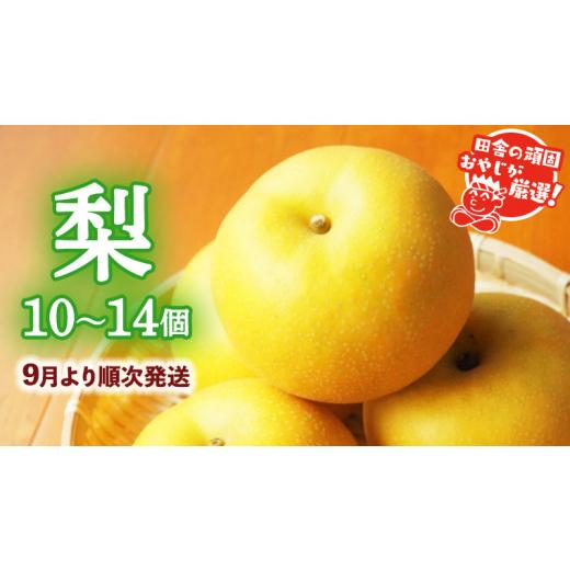 ふるさと納税 茨城県 つくばみらい市 梨10〜14個田舎の頑固おやじが厳選！