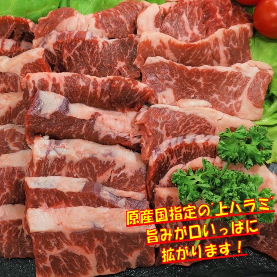 肉 牛タン バーベキュー 食材 牛肉 焼肉セット ハラミ アメリカ産 薄切り 塩タン 牛カルビ バラ 牛上ハラミ バーベキューセット食材 1.3kg  4〜6人前