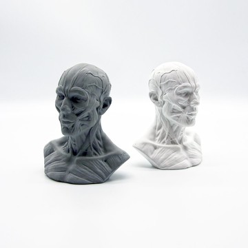 HUMAN muscles Aroma stone I 人體筋肉擴香石 I 手作 I 附精油－