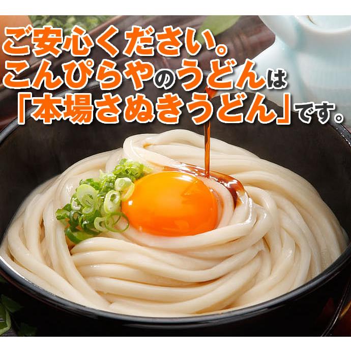 本場 さぬきうどん 本格天然だし醤油ぶっかけうどん ギフト 讃岐うどん16人前＆だし醤油500mlセット