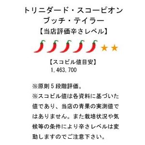 国産　激辛生唐辛子　トリニダード・スコーピオン・ブッチ・テイラー　冷凍品　20g　千葉県産