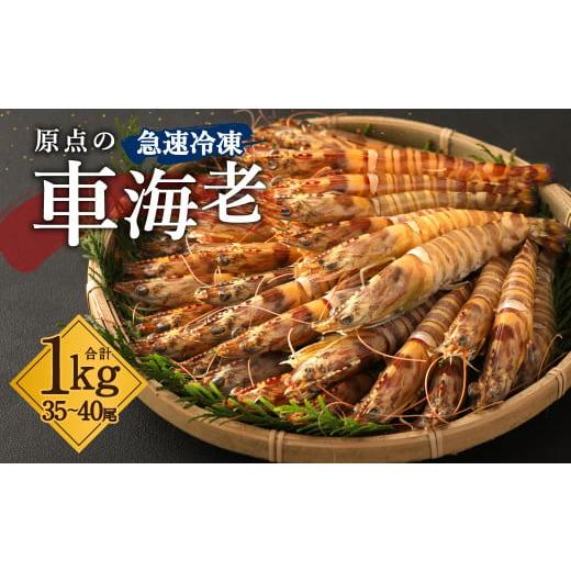 ふるさと納税 熊本県 上天草市 原点の車海老 「急速冷凍」 1kg (35〜40尾) 500g×2パック