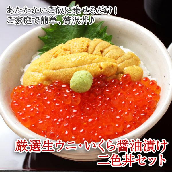 お歳暮 海鮮 二色丼 セット 4人前 ウニ いくら gift set 海鮮丼 うに イクラ いくら醤油漬け グルメ ギフト お取り寄せ