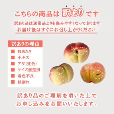 ふるさと納税 笛吹市 先行受付 訳ありだけど美味しい桃 6〜10玉 約2kg 山梨県 笛吹市