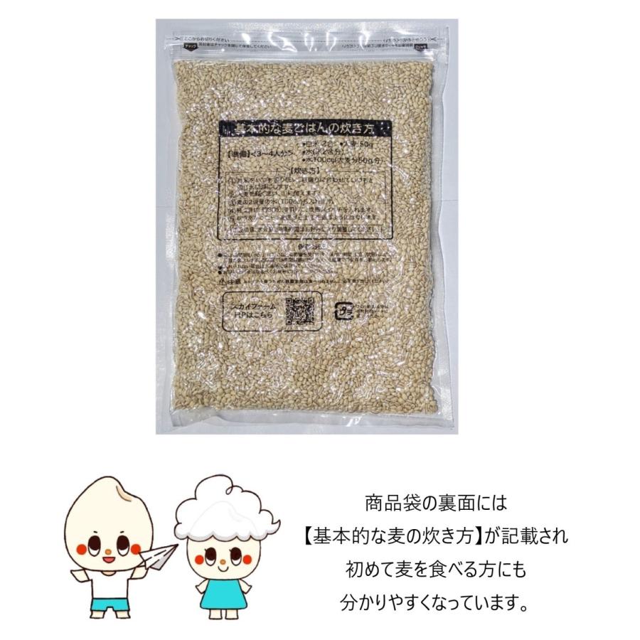 国内産もっちもち大麦 950g×10袋 チャック付き α化処理 ポイント消化 雑穀米 食品 美容 ダイエット 国産 送料無料 ※北海道・沖縄の方は別途送料加算