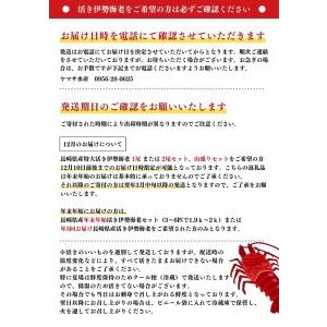 ふるさと納税 長崎県産特大活き伊勢海老2尾セット 長崎県佐世保市