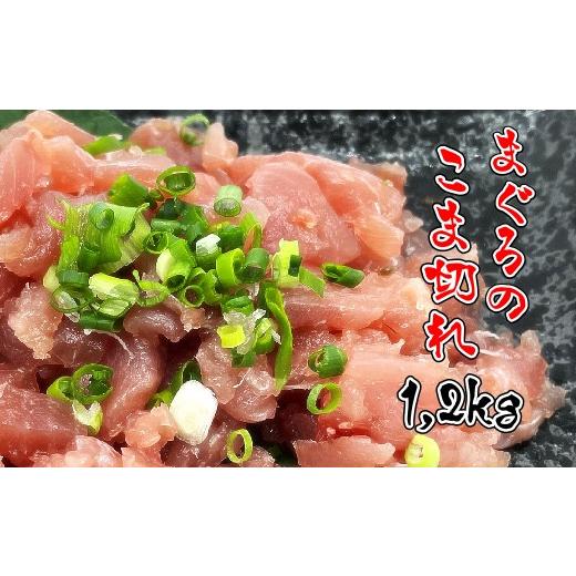 ふるさと納税 高知県 土佐清水市 マグロのこま切れ 計1.2kg（200g×6パック）海鮮丼 ネギトロ 漬け丼 まぐろ丼