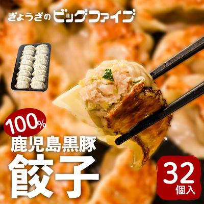 ふるさと納税 鹿児島市 鹿児島黒豚100%餃子　32個入り