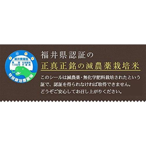 発芽玄米 もち米 タンチョウ 特別栽培米 減農薬 無化学肥料 福井県産 3kg