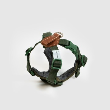 Explore︱胸背帶 - 綠