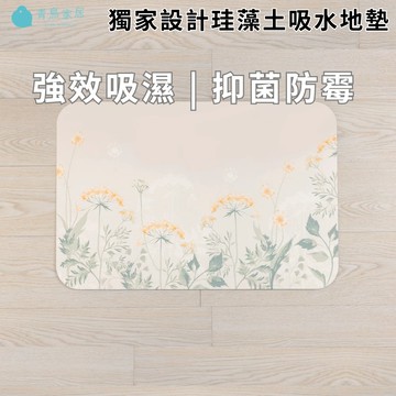 【青鳥家居】 珪藻土吸水地墊/軟硬可選 地墊 浴室地墊 門口地墊 吸水地墊 珪藻土地墊 浴室腳踏墊