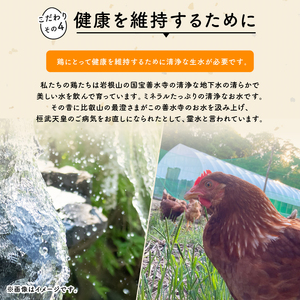 定期便 平飼い有精卵 滋賀竜王卵 30個×2ヵ月