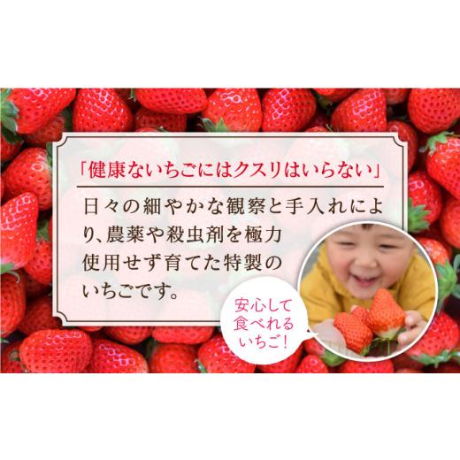 ふるさと納税 佐賀県 江北町 王様のいちご 摘みたてこおりいちご 1kg 冷凍いちご いちごさん さがほのか [HAF011]