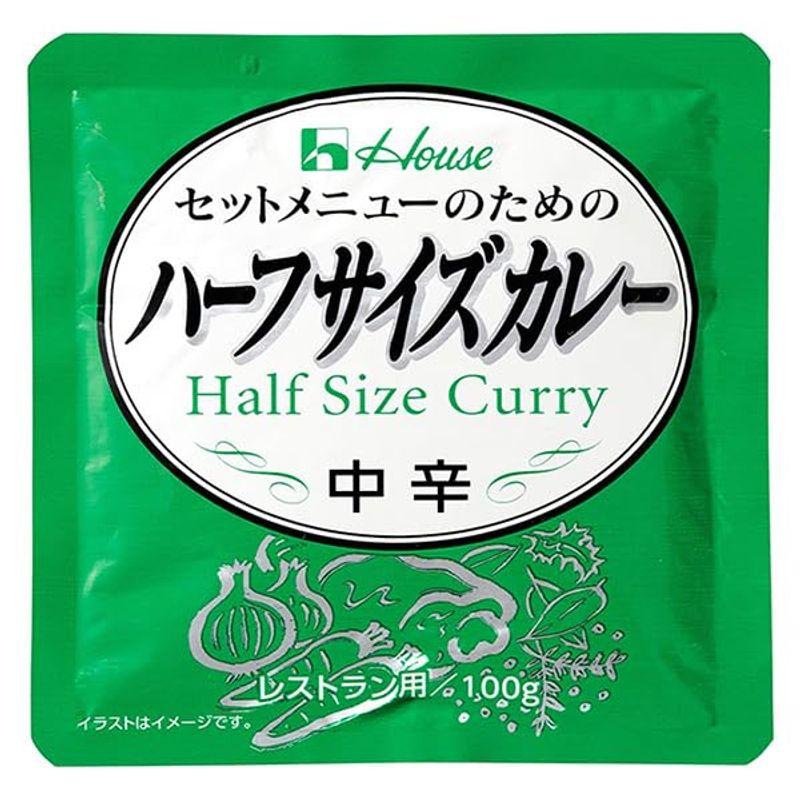 ハウス食品 ハーフサイズカレー 100g×36袋入×(2ケース)