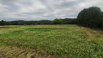 竹科園區三期柯子湖段徵收預定地｜新竹縣竹東鎮柯子湖