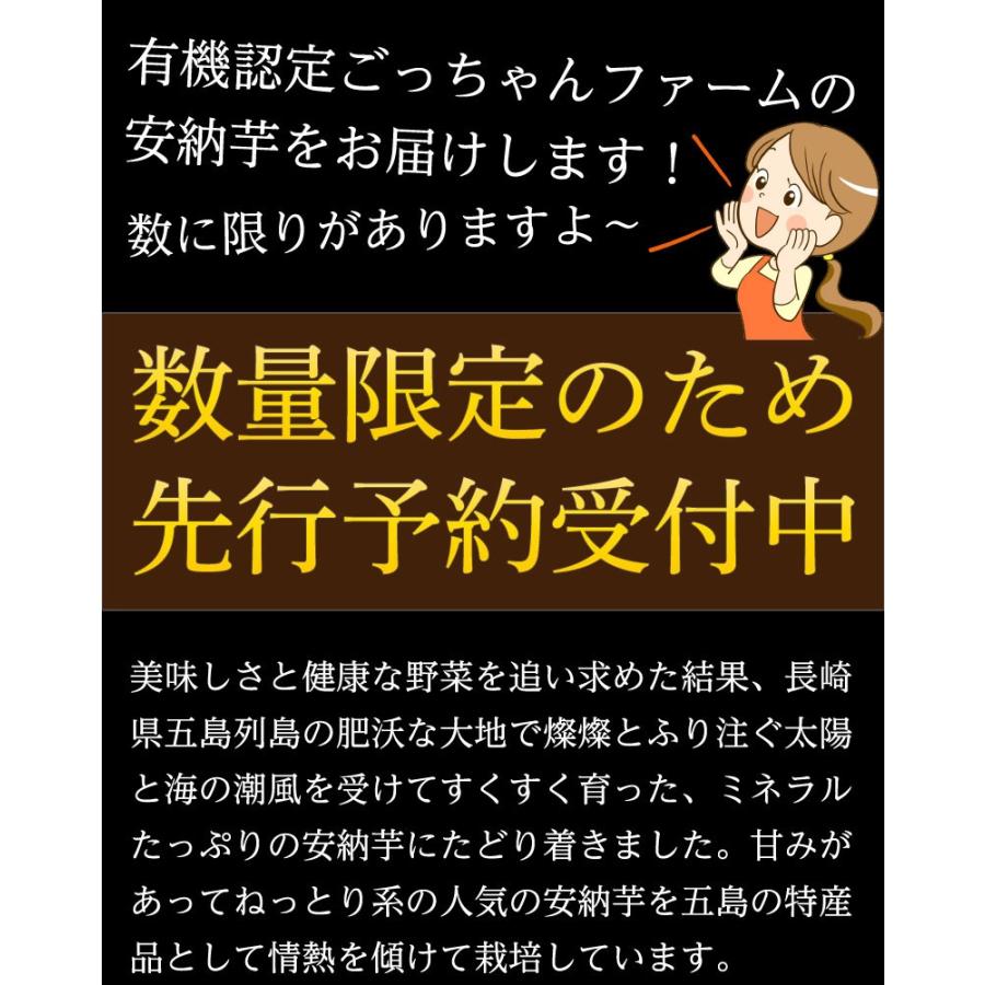 ポイント10倍 御歳暮 ギフト 安納芋 有機 安納いも あんのう芋 蜜芋 離乳食 五島列島 オーガニック Mサイズ A品 5kg グルメ Y常