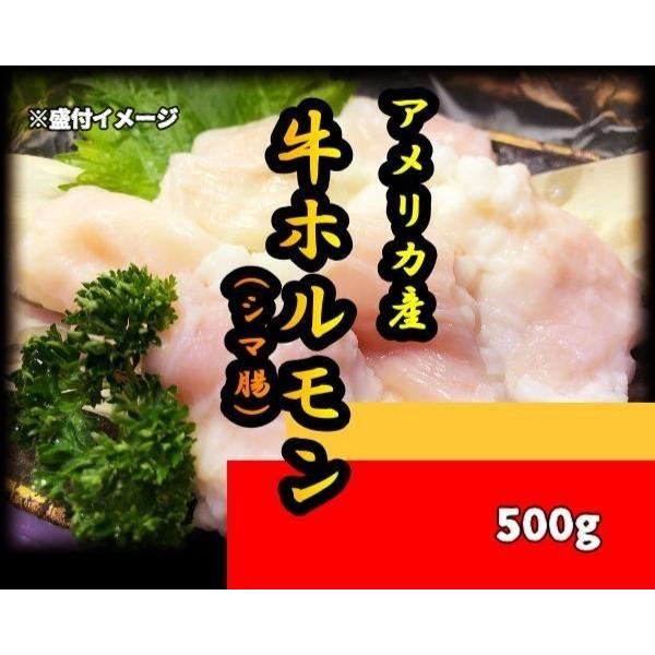 アメリカ産 牛ホルモン500ｇ シマ腸 焼肉用 ホルモン焼き もつ鍋 お取り寄せグルメ