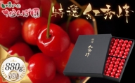 さくらんぼ「紅秀峰」 880g いまいのさくらんぼ園 C46-602