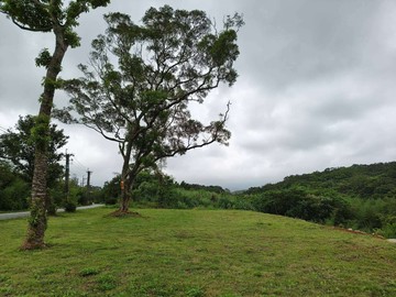 新北三芝雙連安養中心鄰大湖路資材室等您來規劃｜新北市三芝區芝蘭段