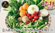 旬鮮野菜・果物セット（12～14品目）
