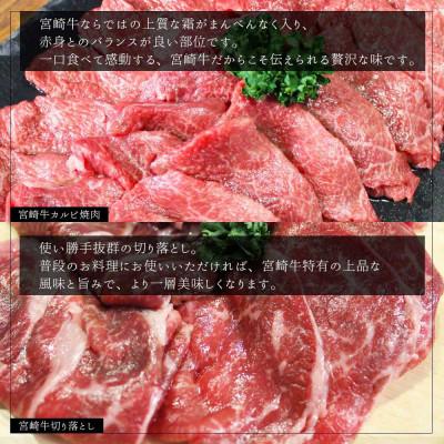 ふるさと納税 美郷町 史上初内閣総理大臣賞4連覇* 宮崎牛 カルビ焼肉400g・切り落とし400g  計800g(美郷町)