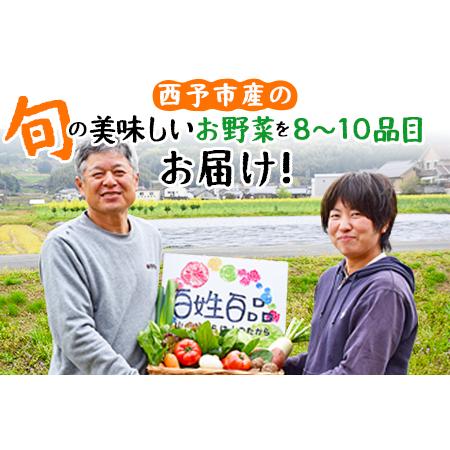 ふるさと納税 新鮮野菜の詰め合わせ 愛媛県西予市