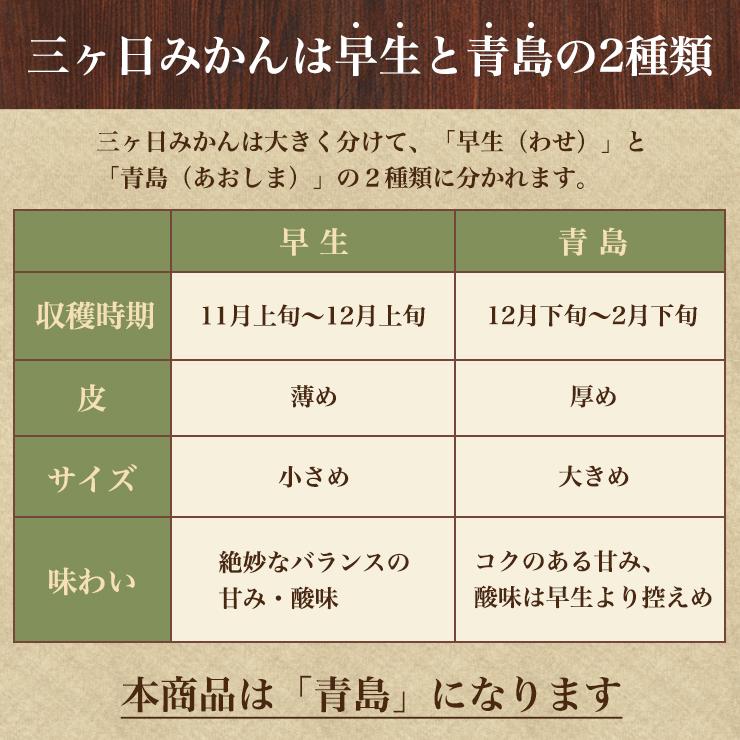  三ヶ日 青島 みかん 10kg 送料無料 訳あり どうまいらぁ！ S 4L サイズ不揃い 三ヶ日みかん 訳ありみかん 産地直送 農家直送 ミカン 蜜柑