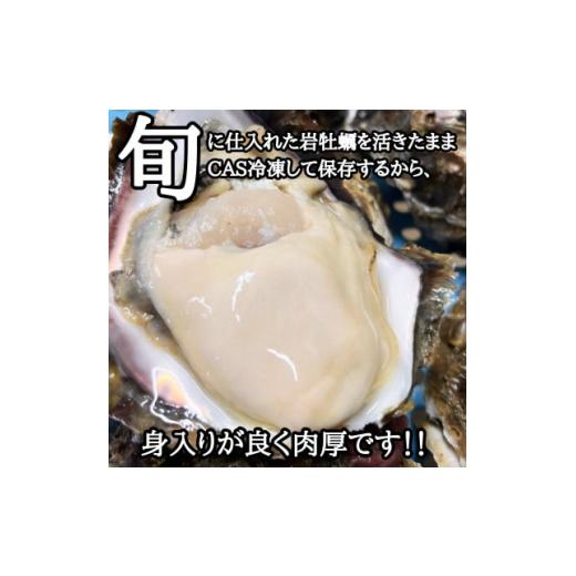 ふるさと納税 愛知県 南知多町 特大!天然岩牡蠣6コ(約5kg〜6kg・特上・殻付き生食用)CAS冷凍カキ 海鮮バーベキューBBQに