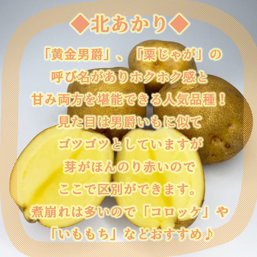 送料無料 北海道産 北あかり 訳あり 食品ロス S〜Lサイズ混合 10kg じゃがいも 馬鈴薯