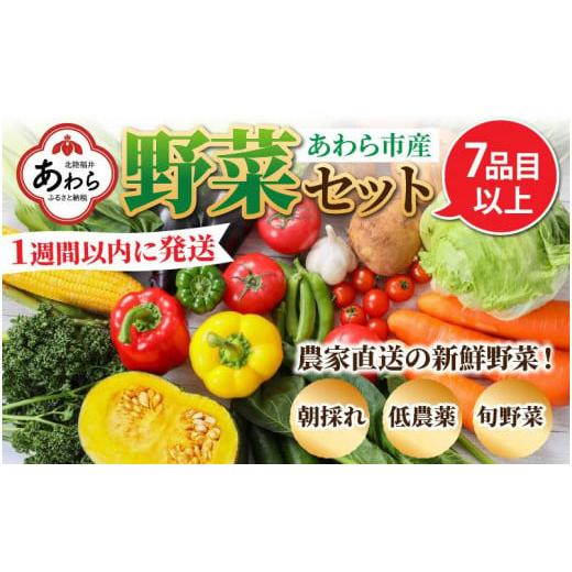 ふるさと納税 福井県 あわら市 農家直送 旬の野菜セット 7品目以上 1箱