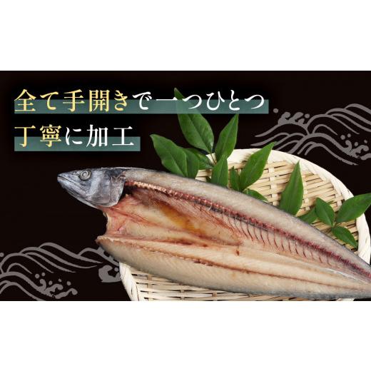 ふるさと納税 富山県 氷見市 小助水産厳選！干物詰め合わせセット　｜　氷見 氷見漁港 産地直送 富山湾 干物 詰め合わせ 魚介 セット カマス アジ イカ 金目鯛