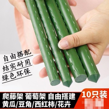 【最低價】【公司貨】限時免運✅爬藤架 庭院花架 爬藤架 園藝 戶外菜園植物黃瓜支撐桿 豆角番茄固定牽引支架 包塑鋼管 花卉苗木園藝架子月季固