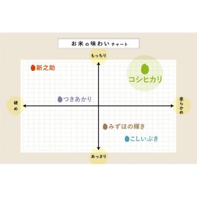 ふるさと納税 新潟県 令和5年産新米南魚沼コシヒカリ・佐渡コシヒカリ・新潟コシヒカリ 玄米 各2kg