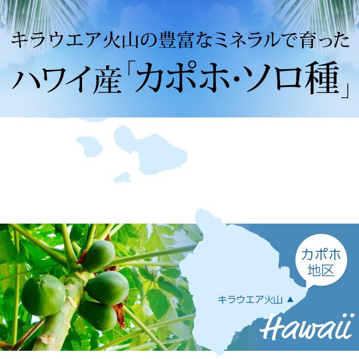 パパイヤ ハワイ産 レモン2個付き 約4kg