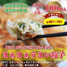 宇都宮餃子　まあまあウマイ餃子100個　保存料不使用