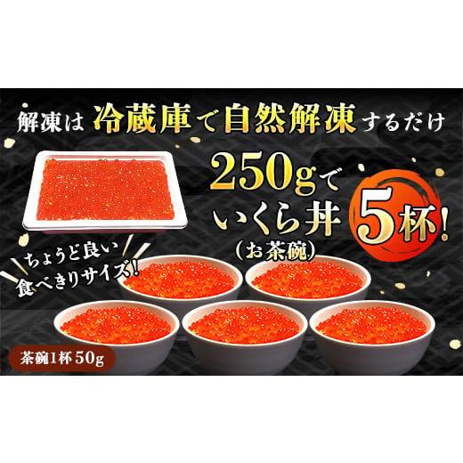 ふるさと納税 北海道 釧路町 北海道産 いくら醤油漬け 500g（250g ×2パック×1箱） 小分け　| 国産 北海道産 いくら いくら醤油漬け イ…