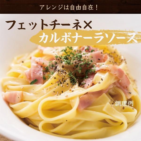 生パスタ フェットチーネ リングイネ スパゲティ 12袋 送料無料（北海道・沖縄・離島 1500円）業務用 ギフト グルメ 食品 大容量 まとめ買い