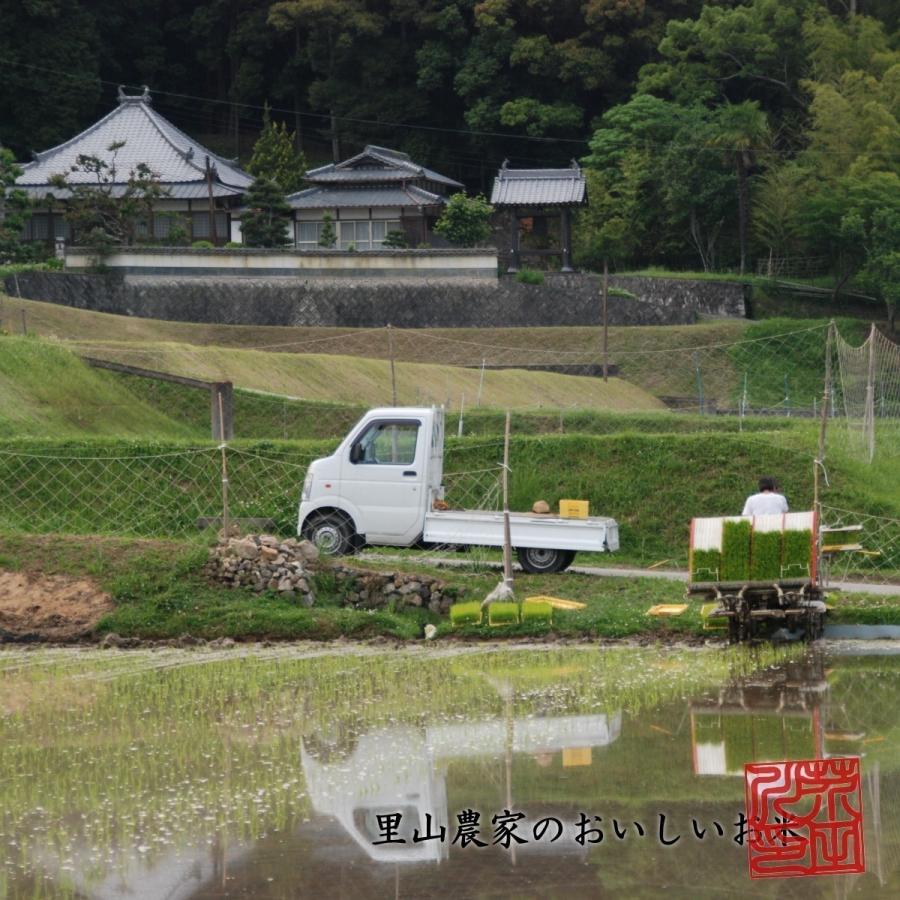 新米 お米 30kg 送料無料 玄米にてお届け 清流ひのひかり芥田川 令和5年産 生産農家 産地直送便 玄米食 石抜き済み お米ギフト 贈答