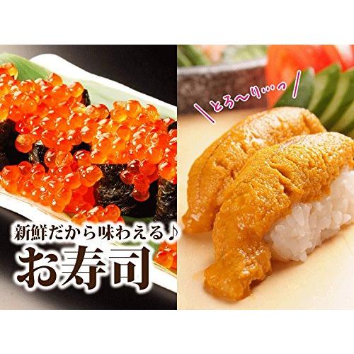 イクラ 醤油漬け 250ｇ×1 生うに 100ｇ×2 海鮮 宝箱 詰め合せ 2種 セット  いくらしょうゆ漬け いくら ギフト イクラ醤油漬け