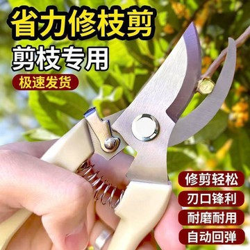 🔥折扣狂歡🔥園藝剪修枝剪手工花藝剪子果樹枝條剪修花卉剪刀專用工具修枝神器