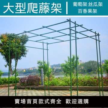 【新店鉅惠】【可開發票】庭院葡萄架爬藤桿架 百香果黃瓜絲瓜鐵線蓮攀爬架 包塑鋼管花支架