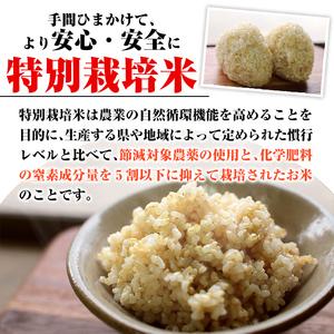 ふるさと納税 isa400 令和5年産 新米 特別栽培米 永池ひのひかり玄米(5kg) 鹿児島でも極良食味のお米が出来る永池地区で作ったお米！九州米サ.. 鹿児島県伊佐市