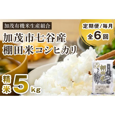 ふるさと納税 新潟県加茂市 七谷産 棚田米コシヒカリ 精米5kg 白米 加茂有機米生産組合 定期便 定期購入 定期 コシヒ.. 新潟県加茂市