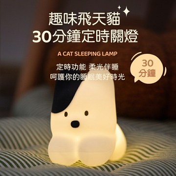 飛天小貓語音七彩燈 矽膠拍拍燈 聲控夜燈 (USB充電) 禮物 聖誕禮物推薦 交換禮物推薦