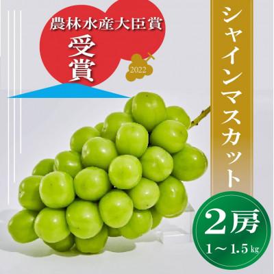 ふるさと納税 南アルプス市 シャインマスカット 2房 1〜1.5kg