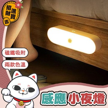 [USB充電] LED感應小夜燈 感應燈走廊無線 磁吸感應燈 感應小夜燈 USB充電小夜燈 玄關床頭燈 床頭櫥櫃燈