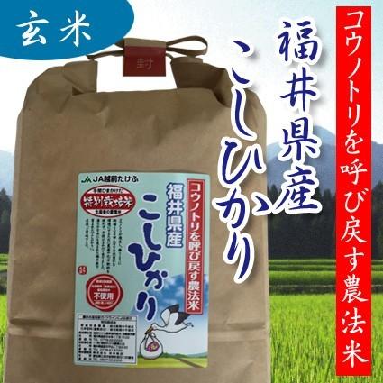 無農薬米 栽培期間中農薬化学肥料不使用 玄米 5ｋｇ 5年産 コウノトリ呼び戻す農法米 福井産コシヒカリ オーガニック