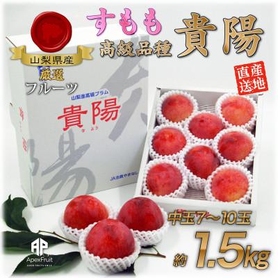 ふるさと納税 山梨市 すもも『中玉貴陽』約1.5kg(7〜10玉)